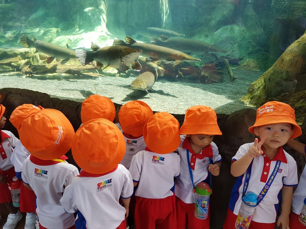 Learning Journey to River Safari - PCF Sparkletots Chong Pang @ Blk 288 — photo 14