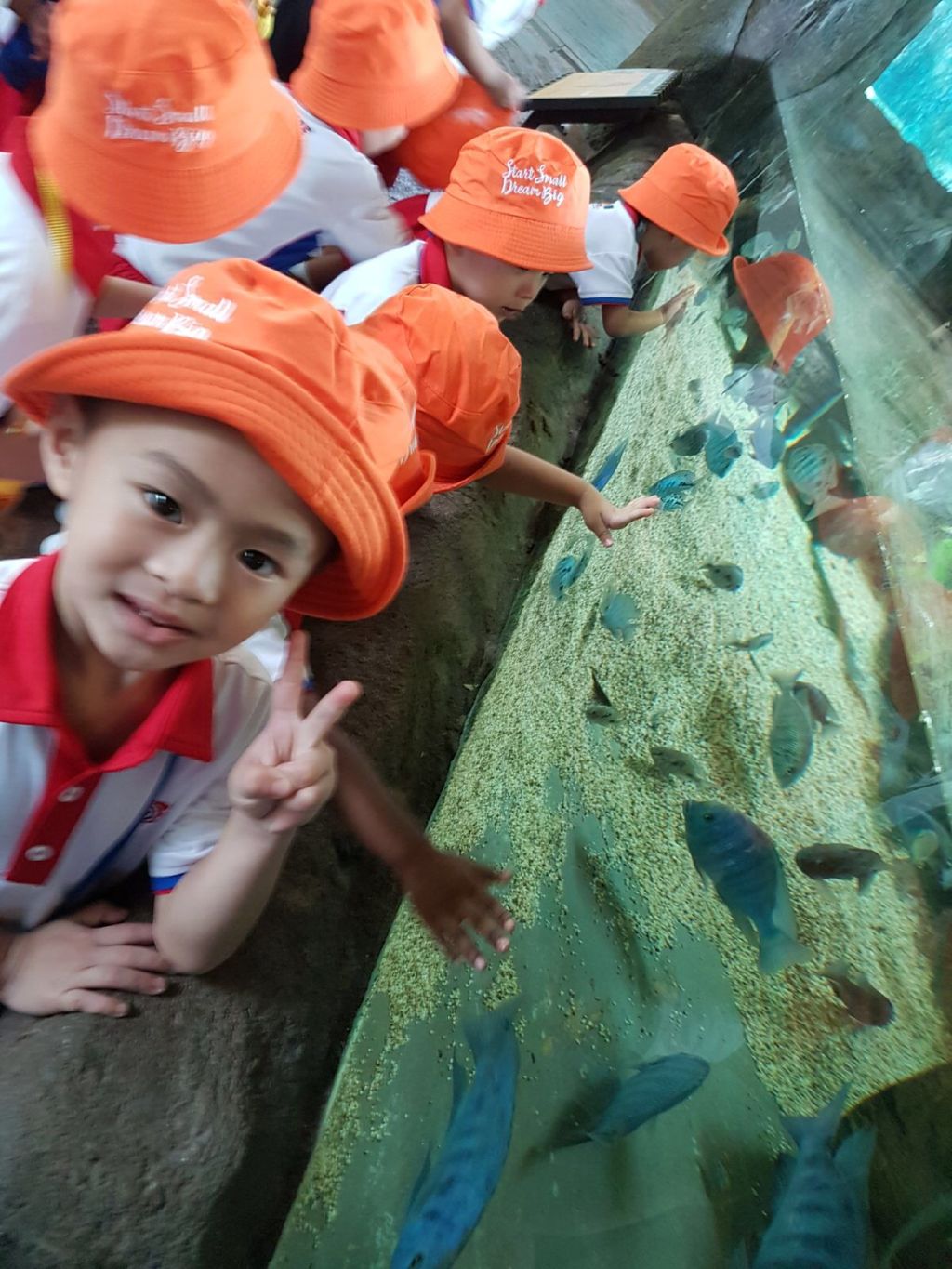 Learning Journey to River Safari - PCF Sparkletots Chong Pang @ Blk 288 — photo 15