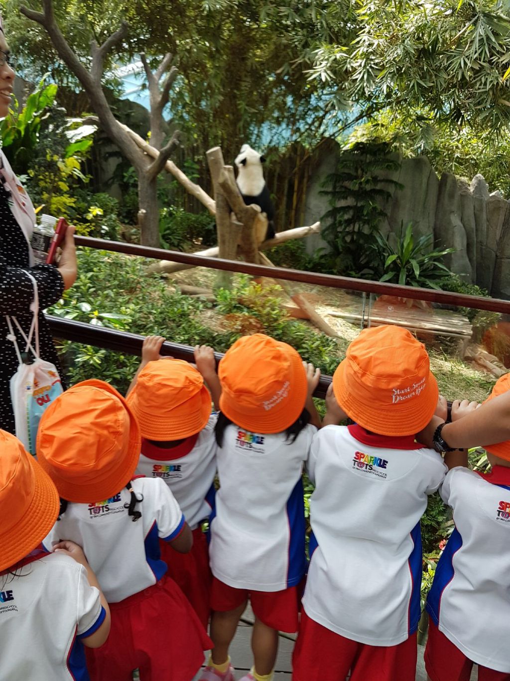 Learning Journey to River Safari - PCF Sparkletots Chong Pang @ Blk 288 — photo 16