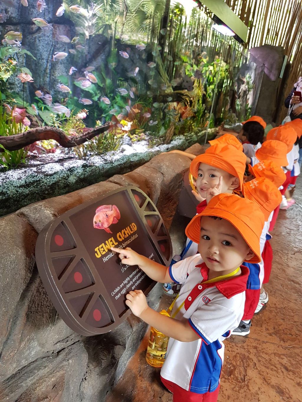 Learning Journey to River Safari - PCF Sparkletots Chong Pang @ Blk 288 — photo 17