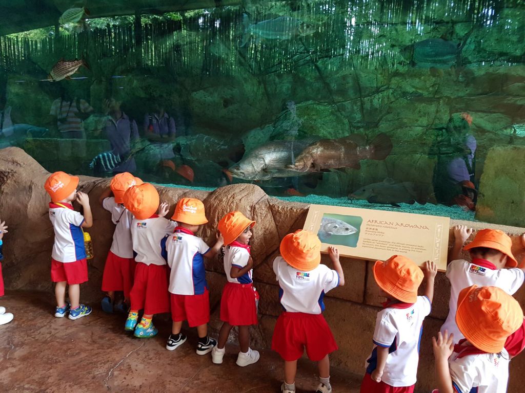 Learning Journey to River Safari - PCF Sparkletots Chong Pang @ Blk 288 — photo 19
