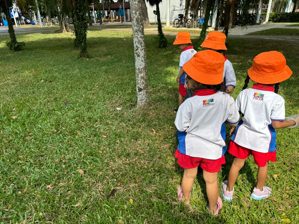 Litter Picking Activity
