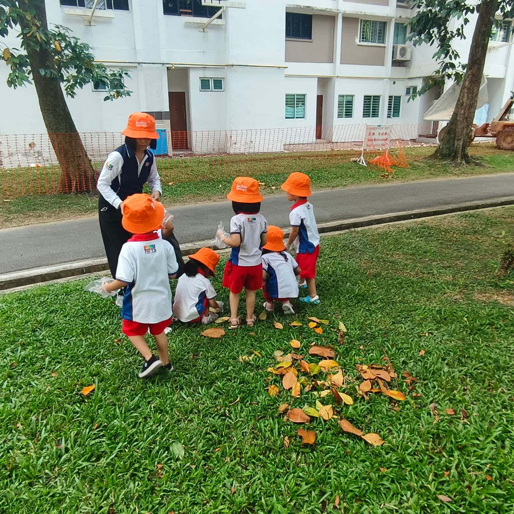 Litter Picking Activity — photo 9