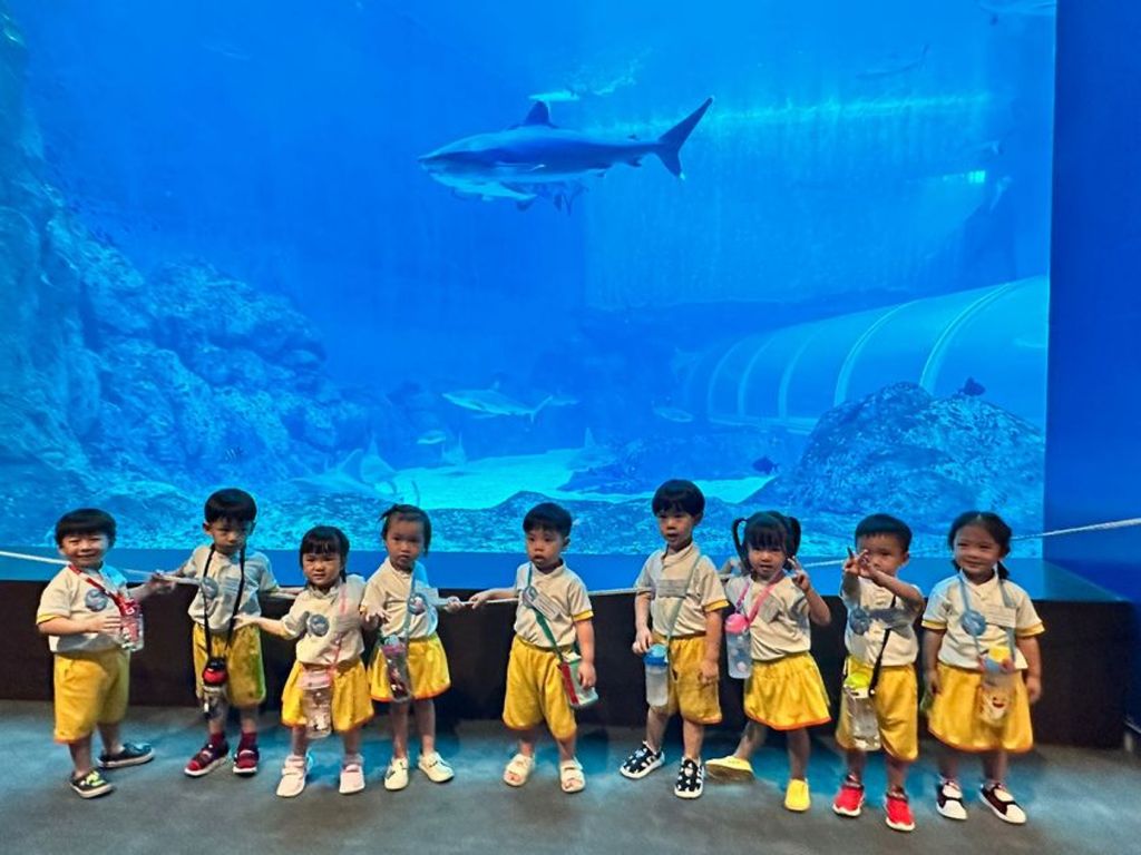 Sunflower Preschool @ Frankel SSDB 2024- S.E.A Aquarium — photo 2