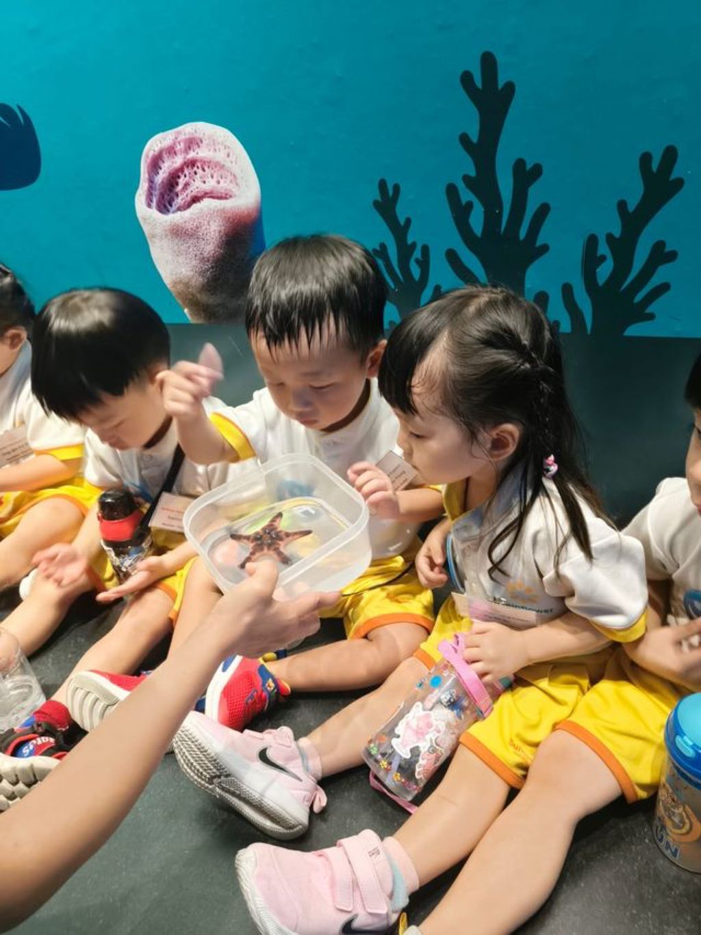 Sunflower Preschool @ Frankel SSDB 2024- S.E.A Aquarium — photo 5