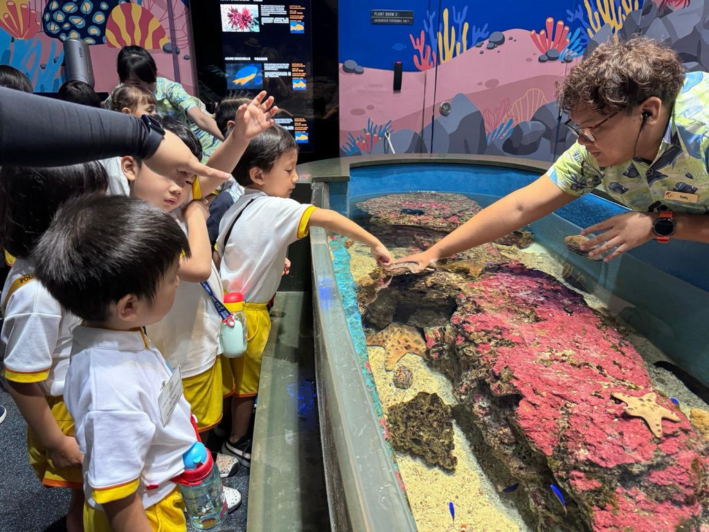 Sunflower Preschool @ Frankel SSDB 2024- S.E.A Aquarium — photo 6