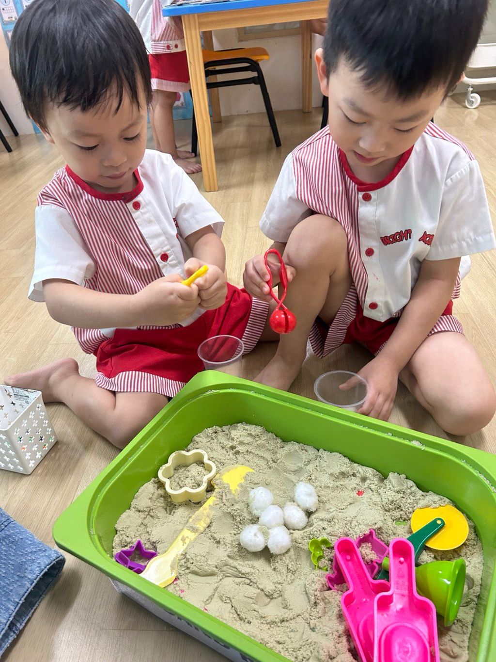 SSDB: Shell Squad - Life Cycle of a Sea Turtle — photo 2