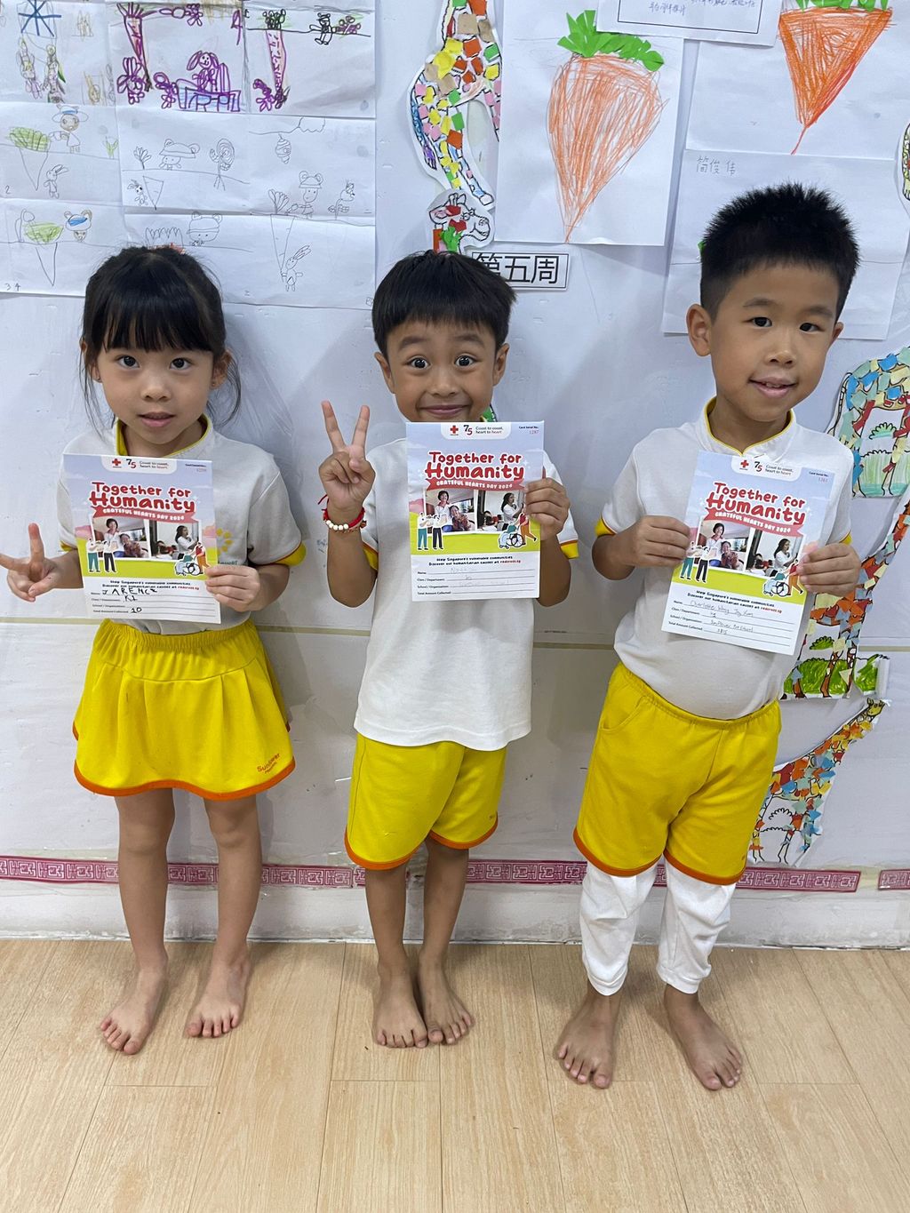 Donation collection — photo 3