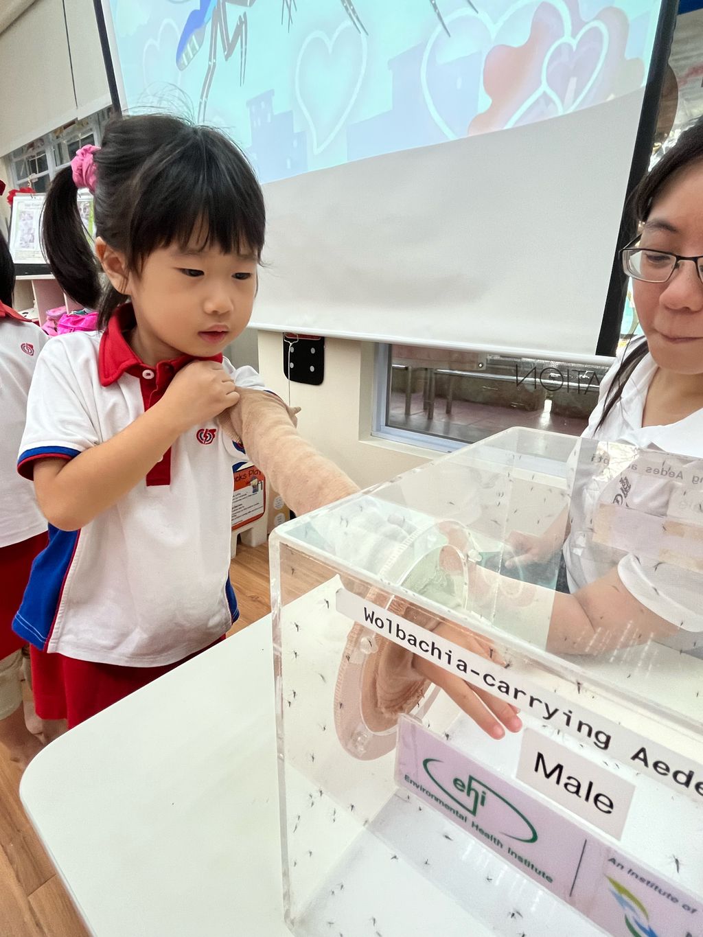 Project Wolbachia with Ms.Sim Ann — photo 1