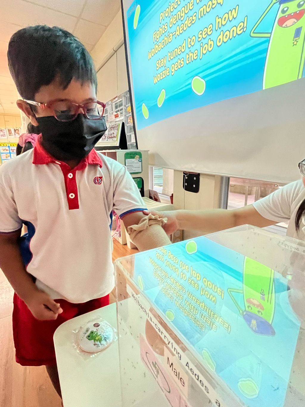 Project Wolbachia with Ms.Sim Ann — photo 3