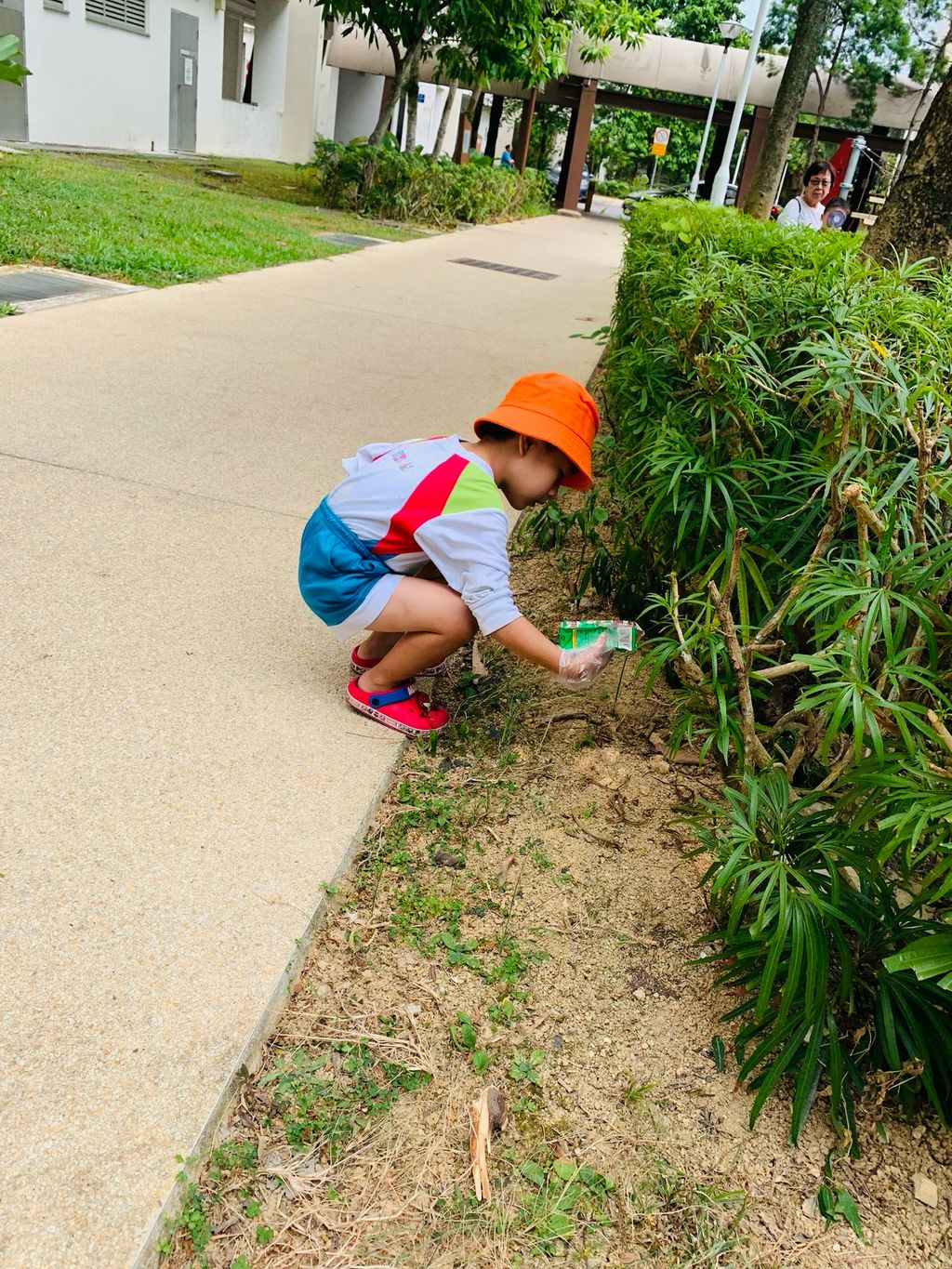 Neighborhood clean-up — photo 3