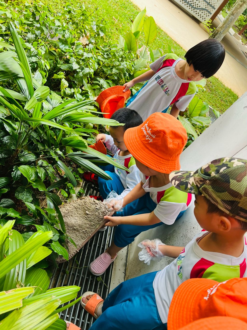 Neighborhood clean-up — photo 12