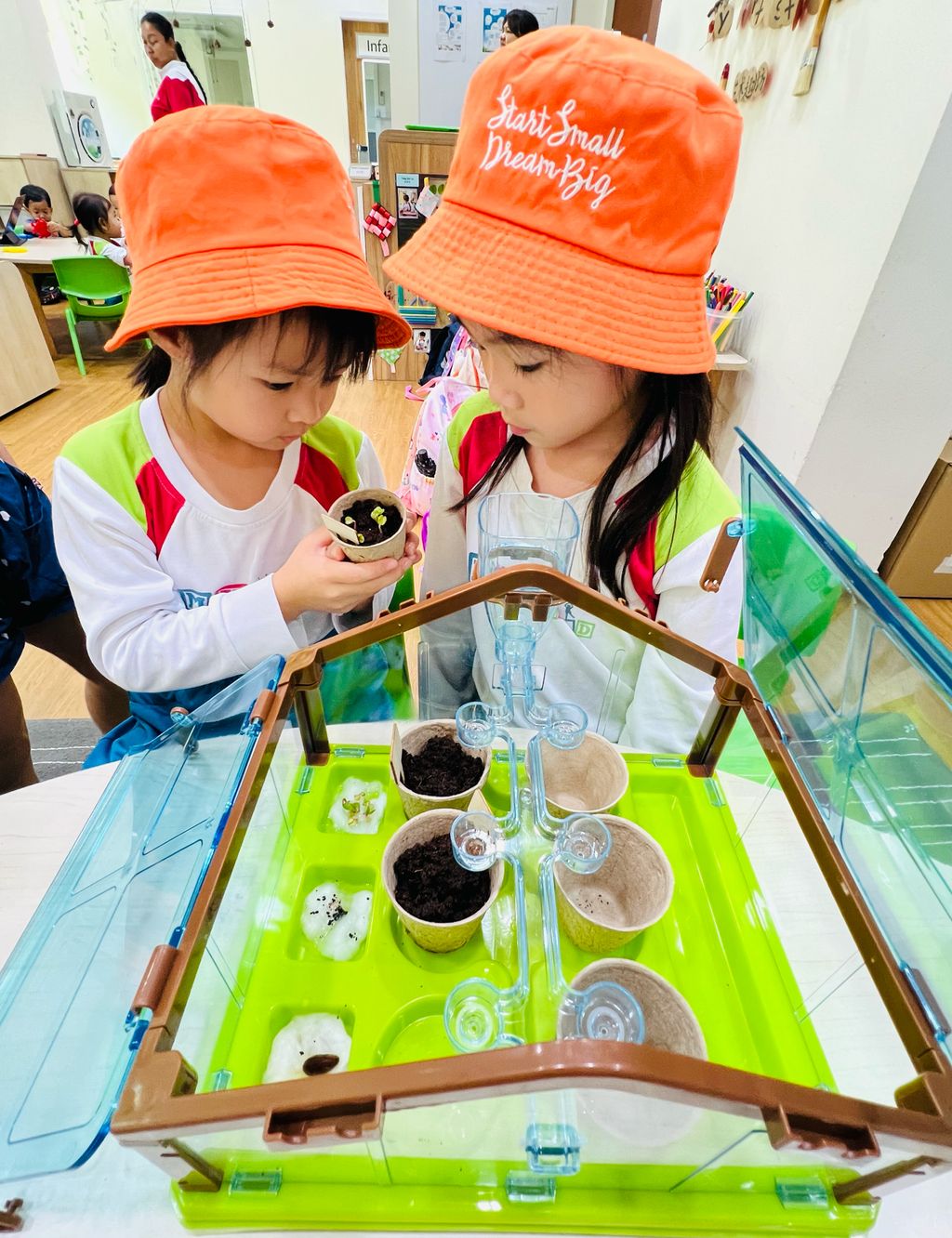 SSDB 2024 阳光房种植蔬菜 — photo 9