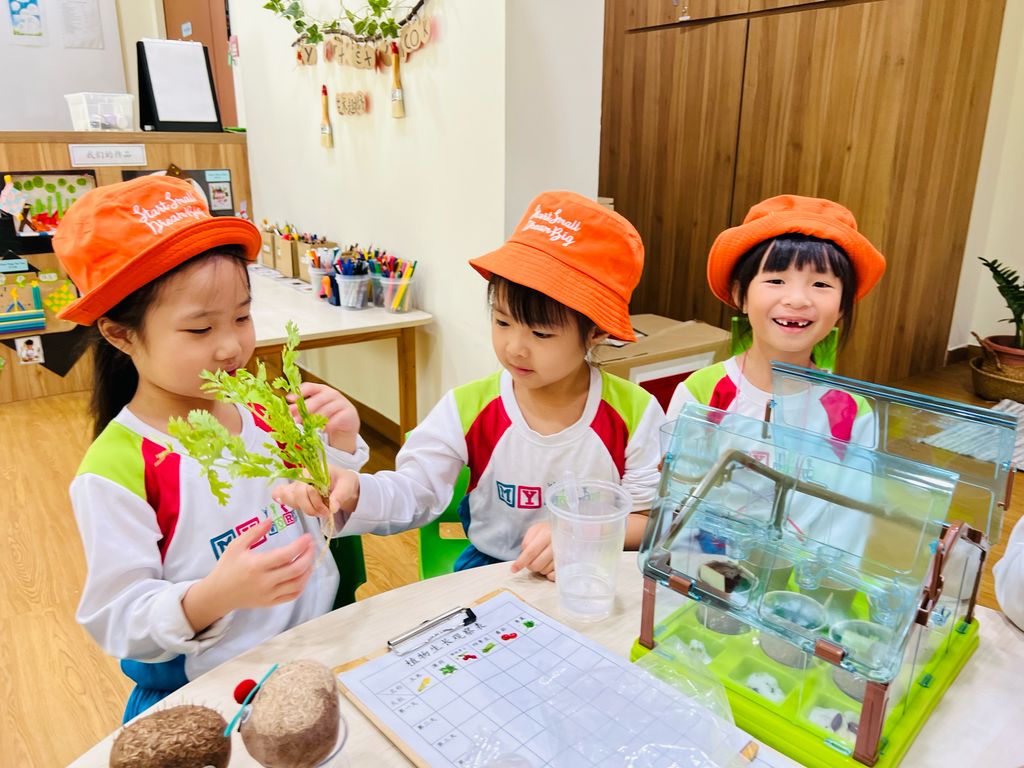 SSDB 2024 阳光房种植蔬菜 — photo 13