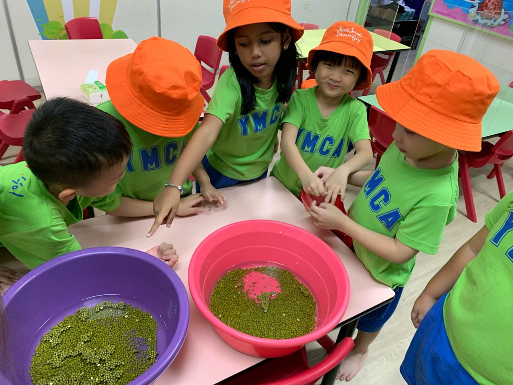 Sow and Grow Bloomers @ YMCA Toa Payoh — photo 2