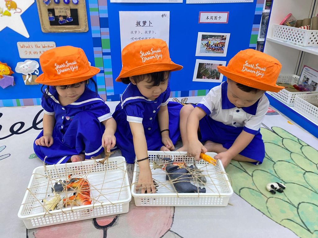 Start Small Dream Big Journey — photo 1