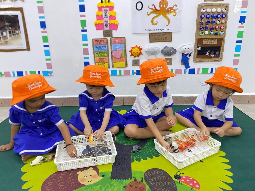 Start Small Dream Big Journey — photo 4