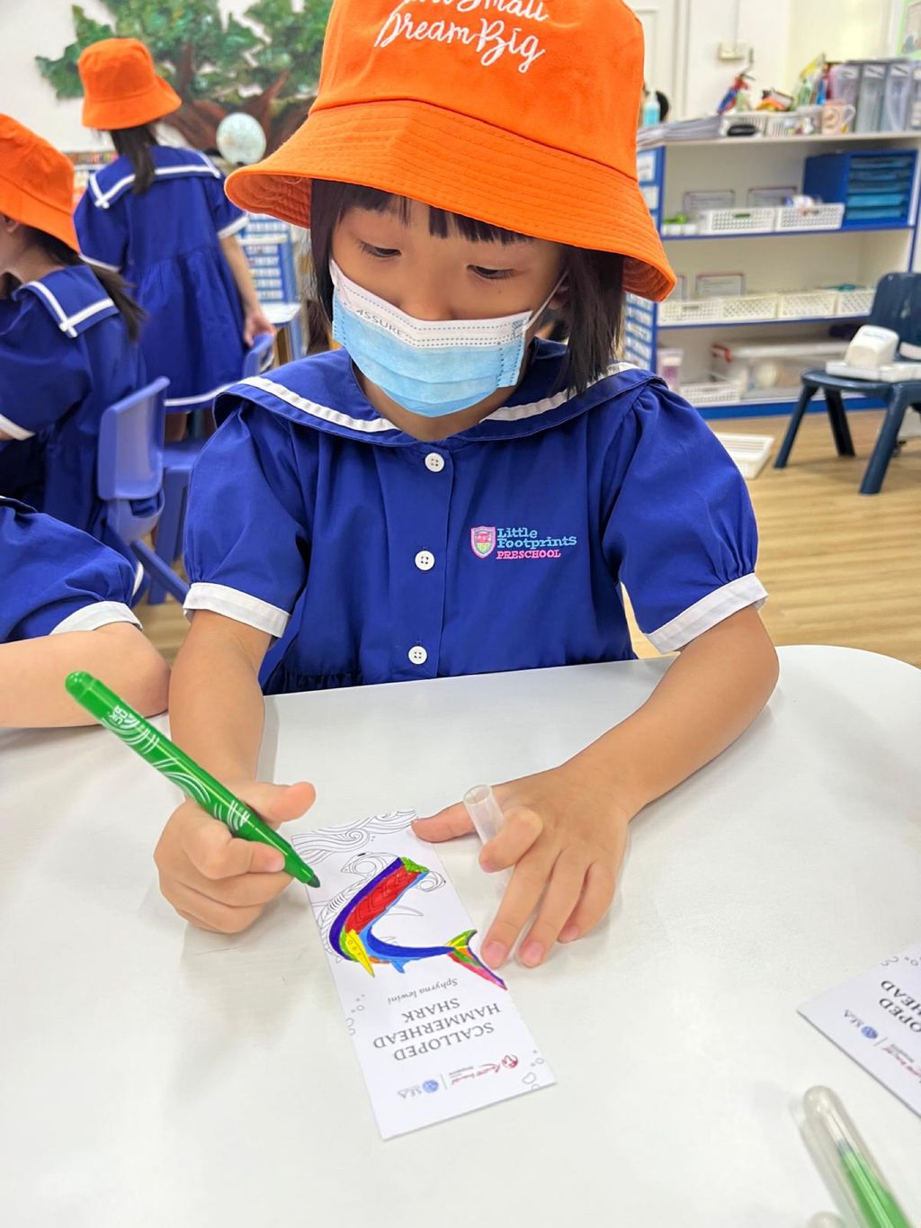 Start Small Dream Big Journey — photo 1