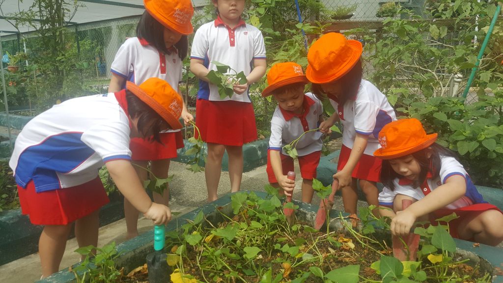 Ammbassadors of Nature — photo 2