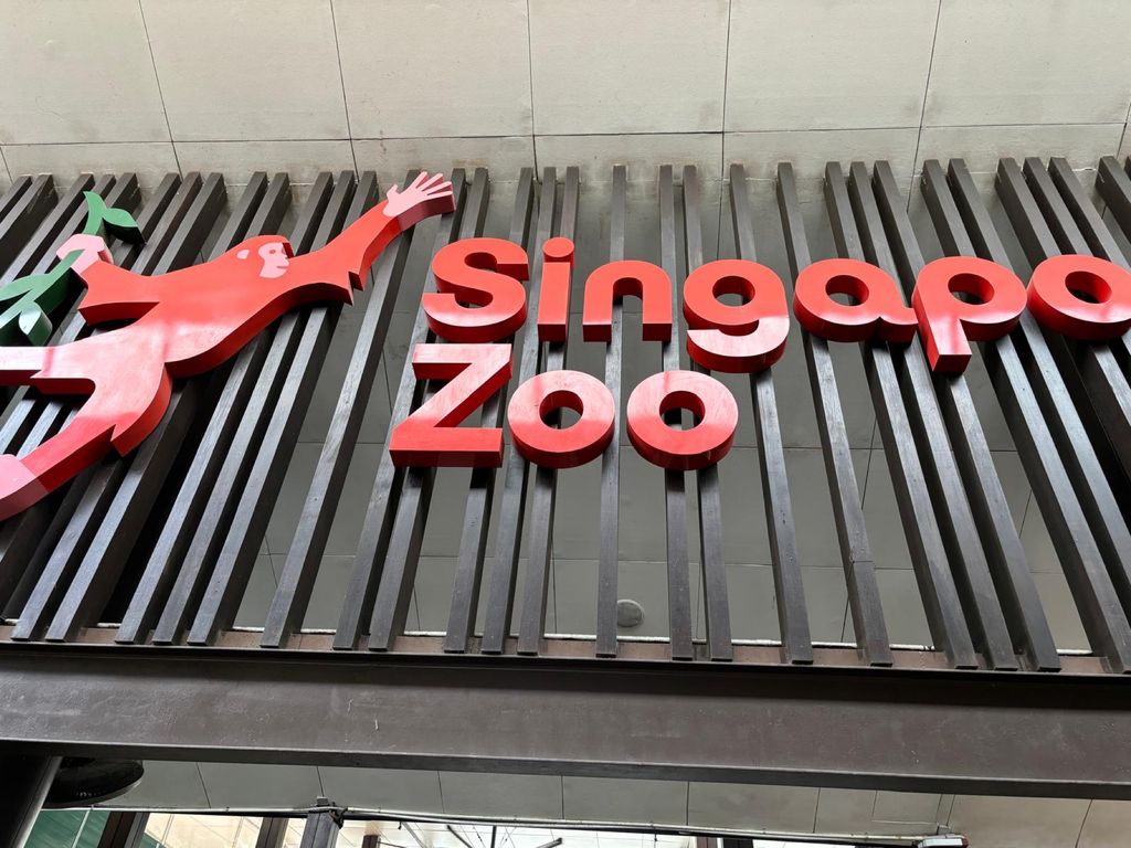 Learning Journey to the Zoo — photo 6