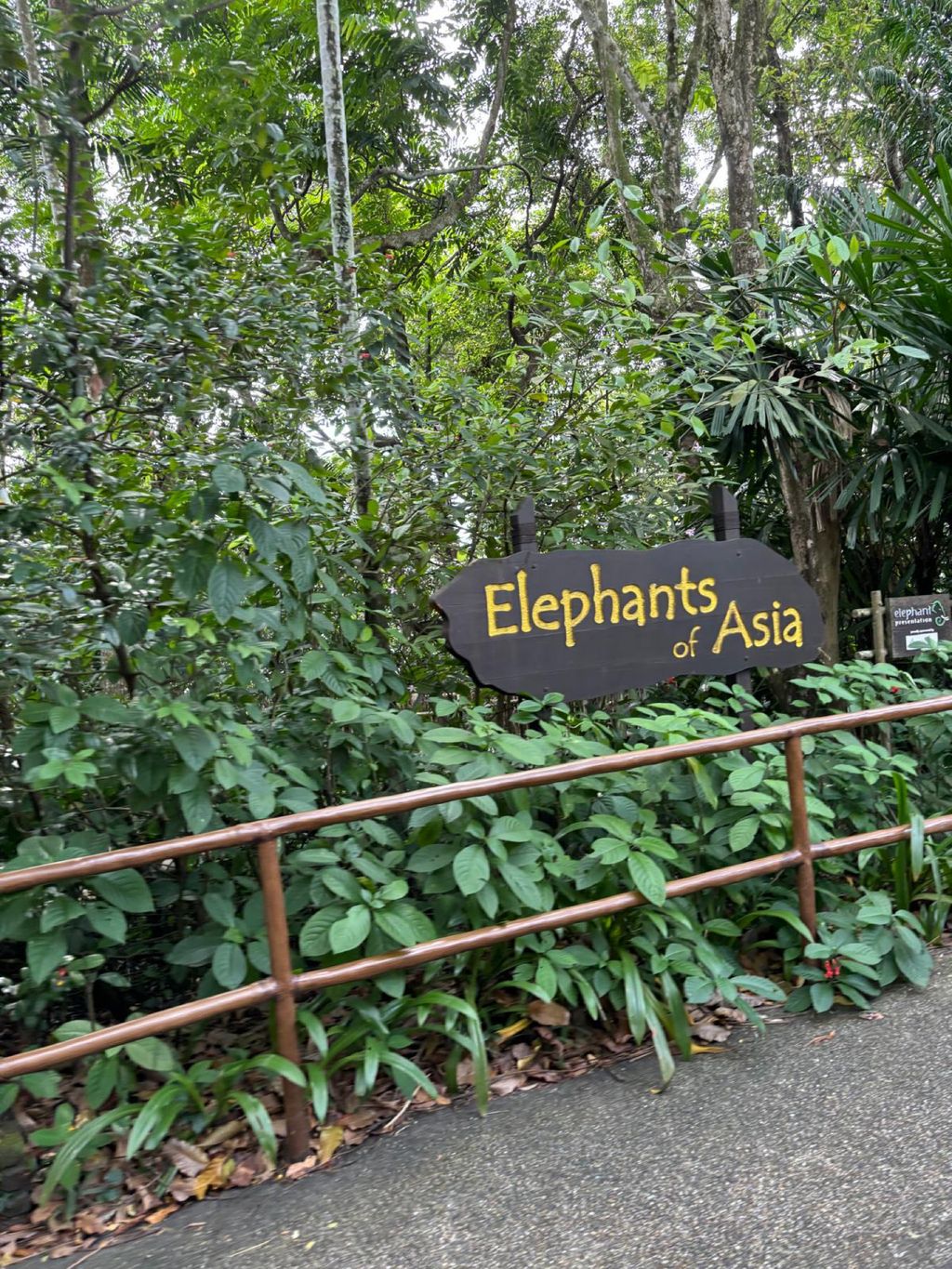 Learning Journey to the Zoo — photo 7
