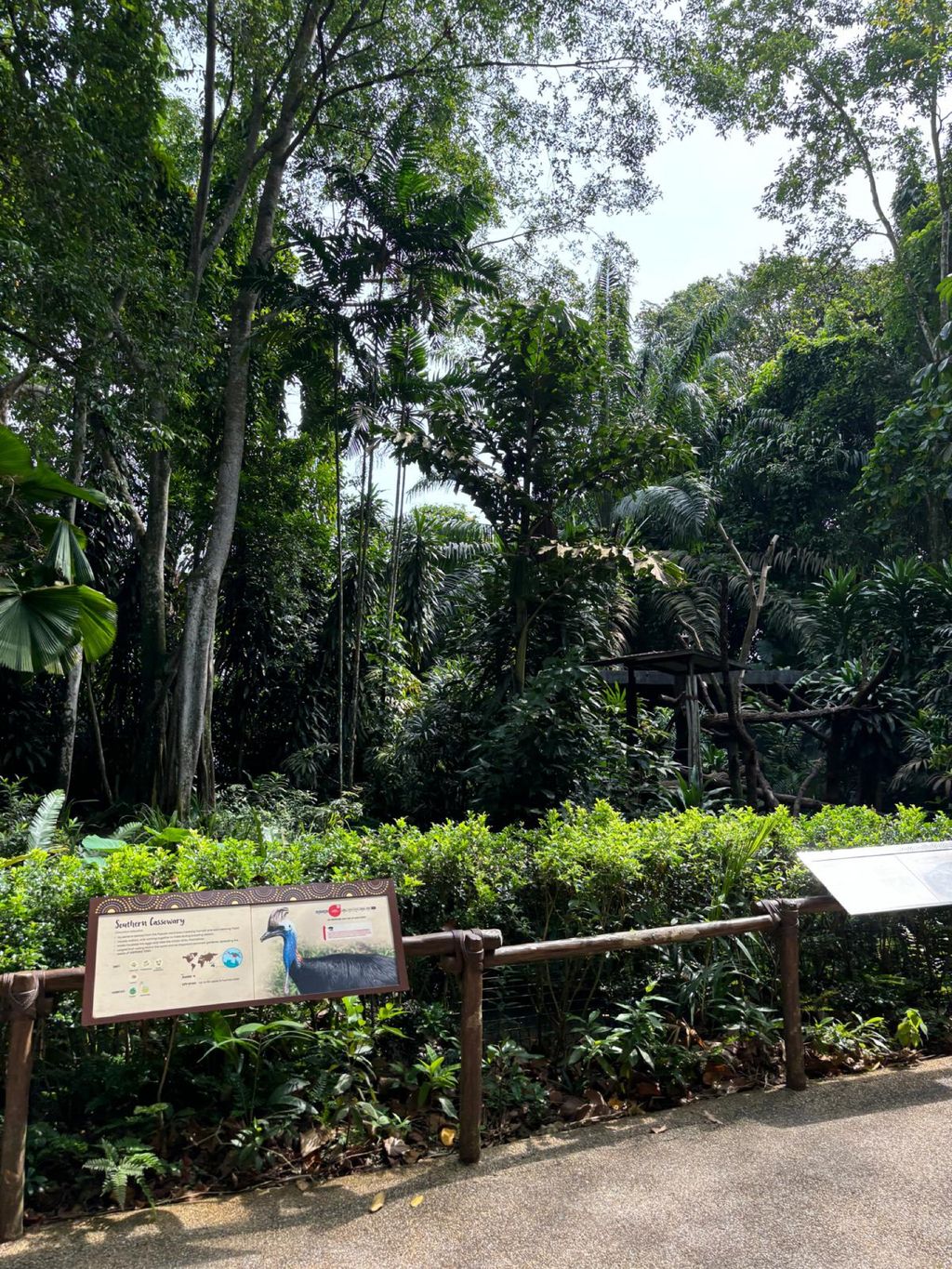 Learning Journey to the Zoo — photo 8