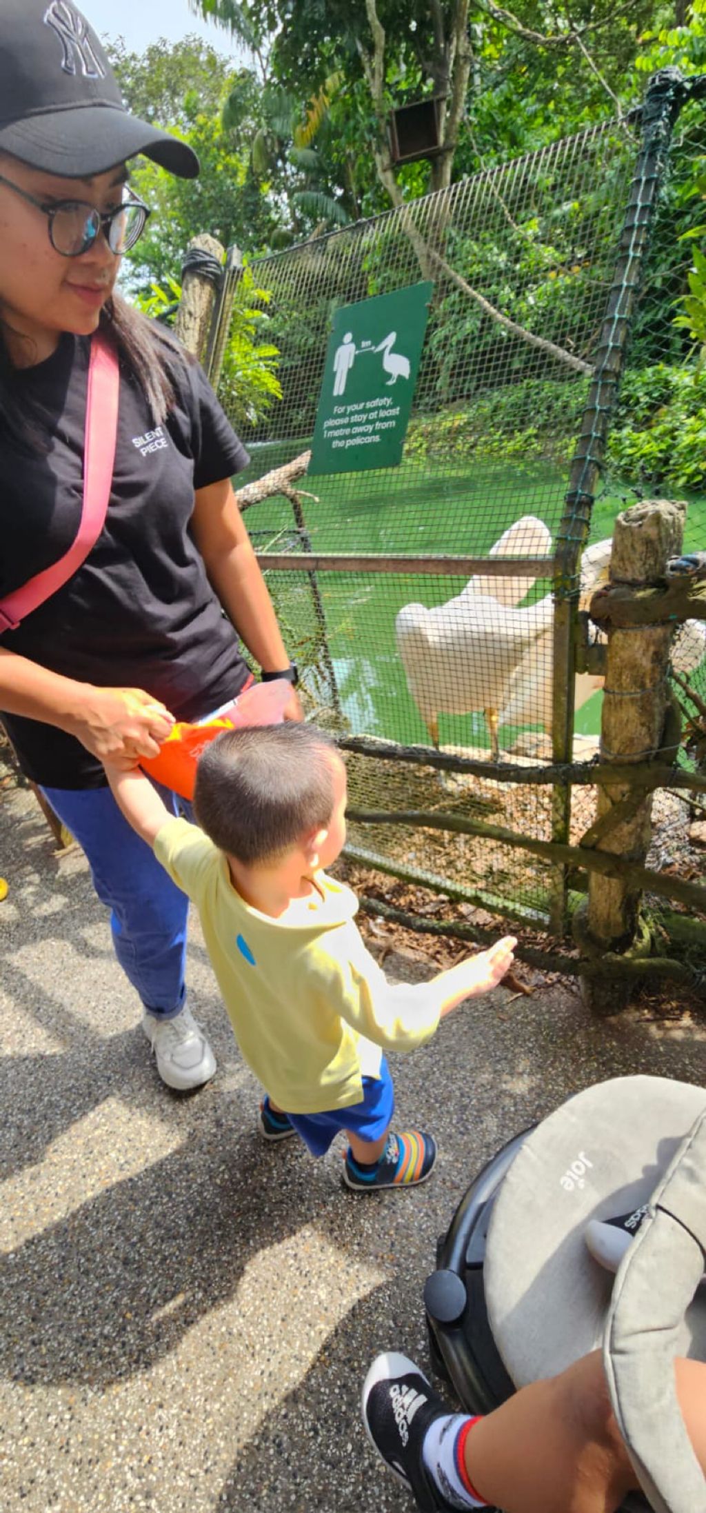 Learning Journey to the Zoo — photo 1