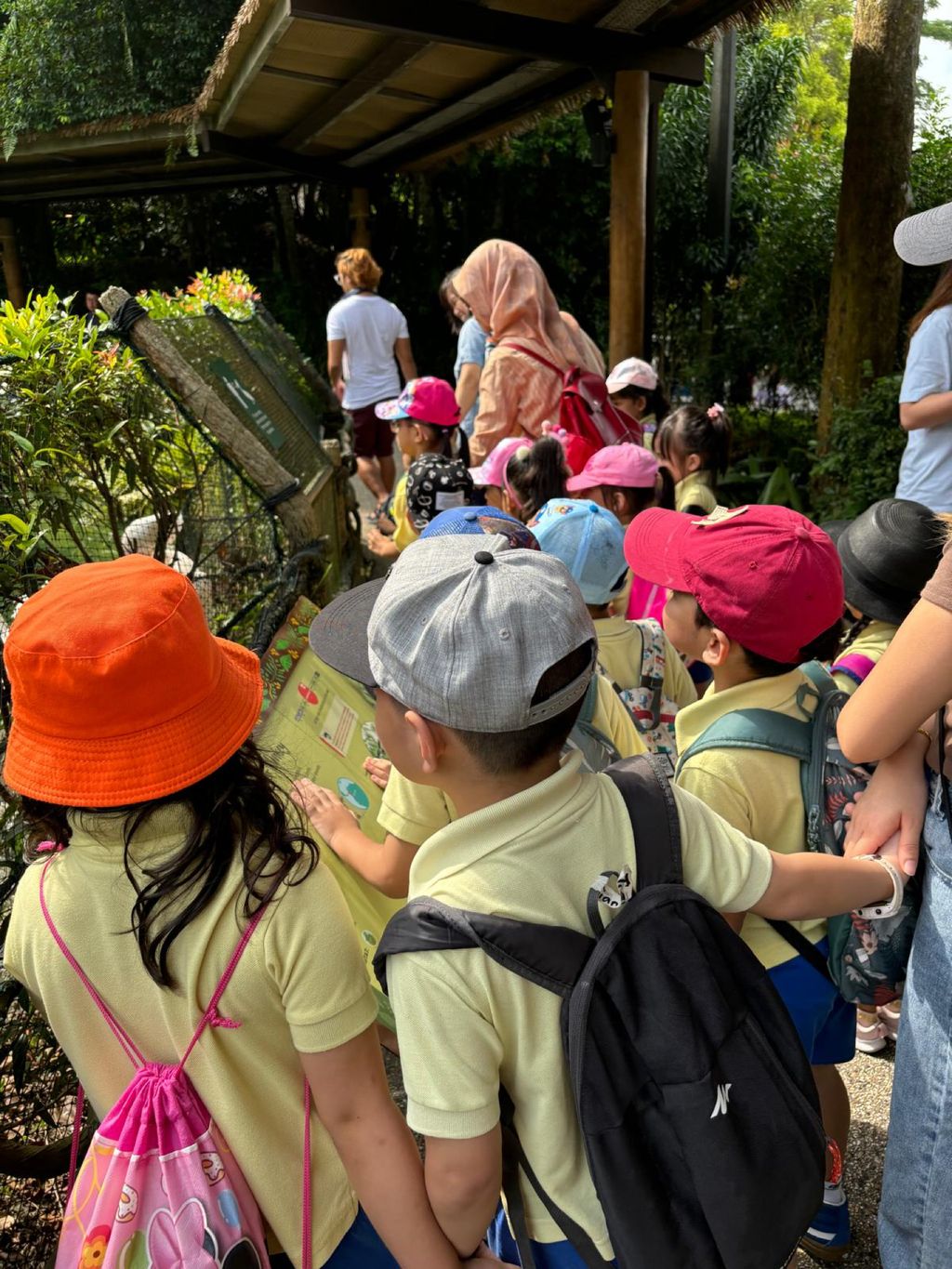 Learning Journey to the Zoo — photo 3