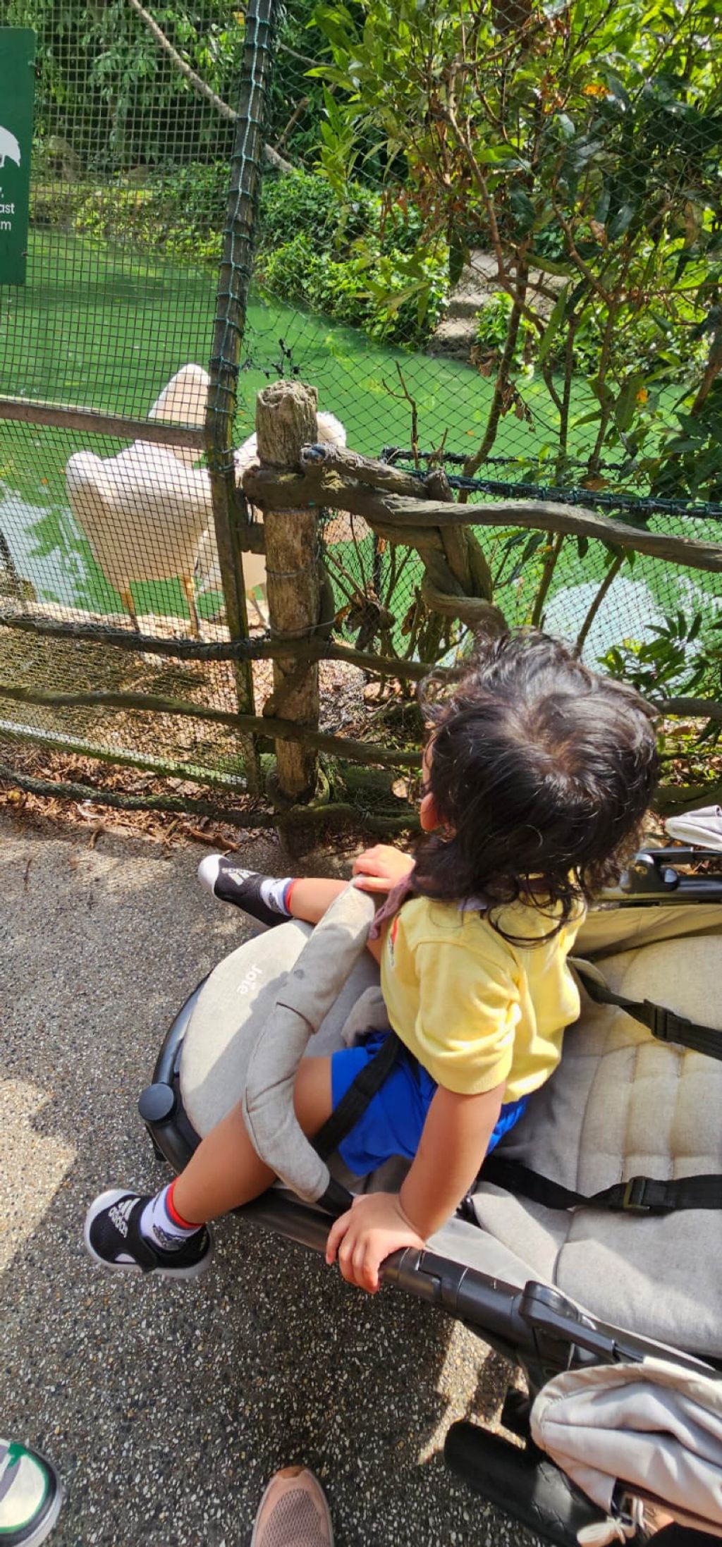Learning Journey to the Zoo — photo 9