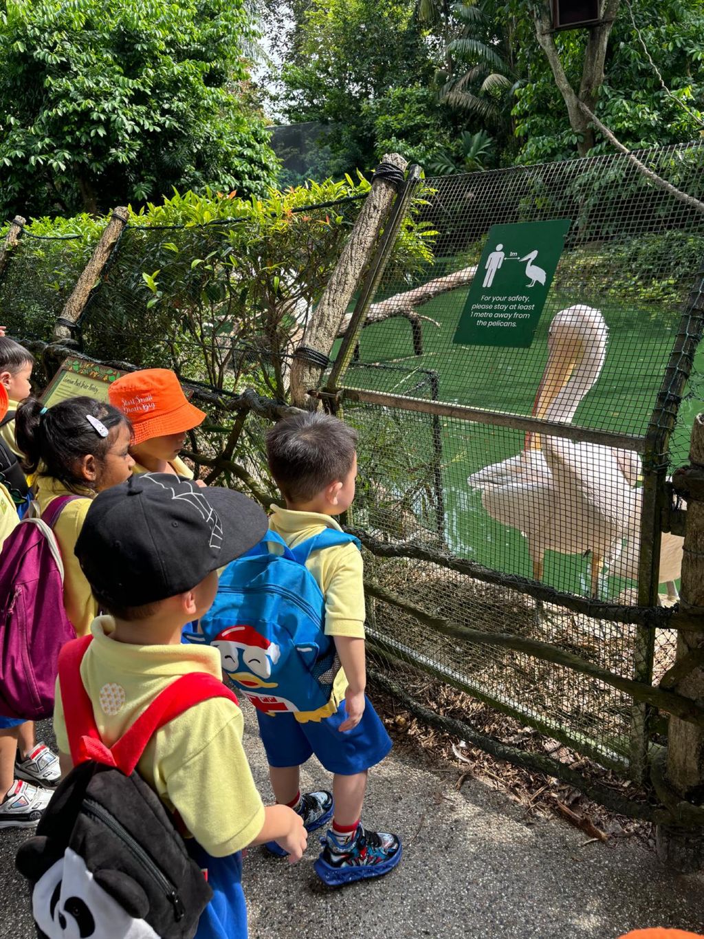 Learning Journey to the Zoo — photo 10