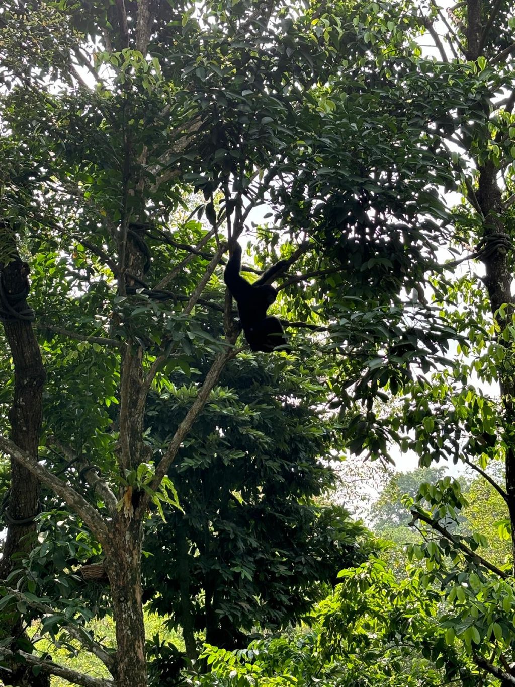 Learning Journey to the Zoo — photo 11