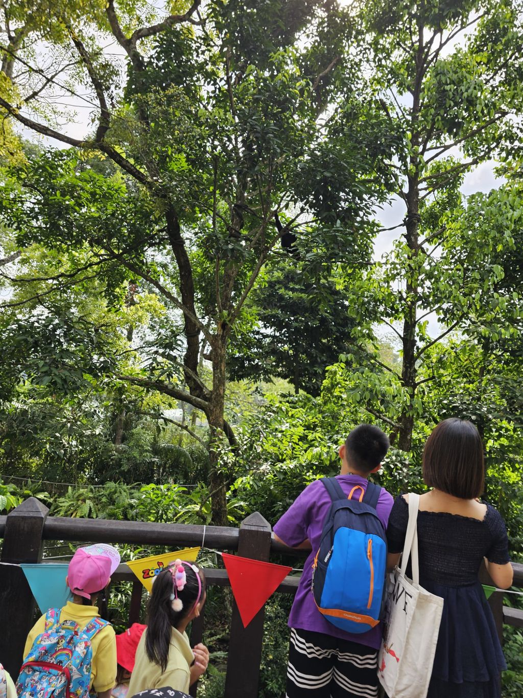 Learning Journey to the Zoo — photo 12