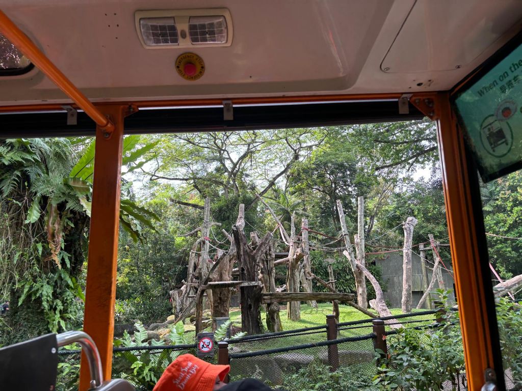 Learning Journey to the Zoo — photo 10
