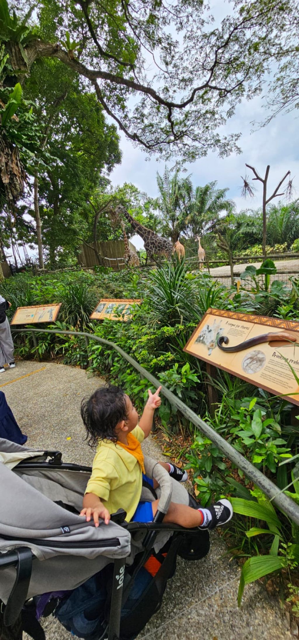 Learning Journey to the Zoo — photo 1