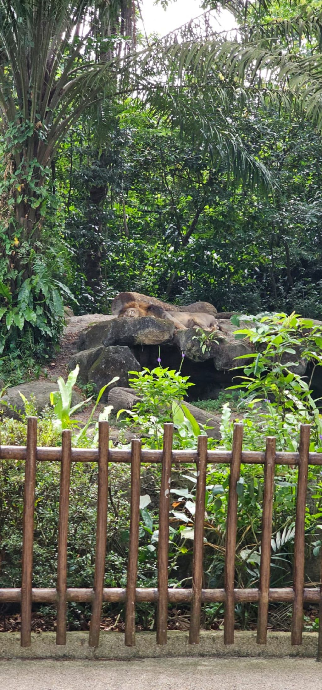 Learning Journey to the Zoo — photo 2