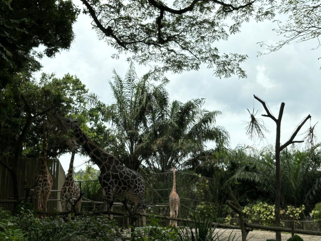 Learning Journey to the Zoo — photo 6
