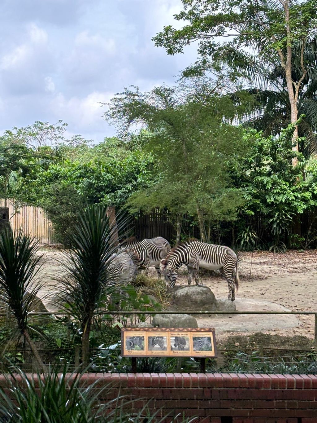 Learning Journey to the Zoo — photo 12