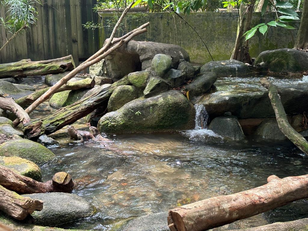 Learning Journey to the Zoo — photo 1