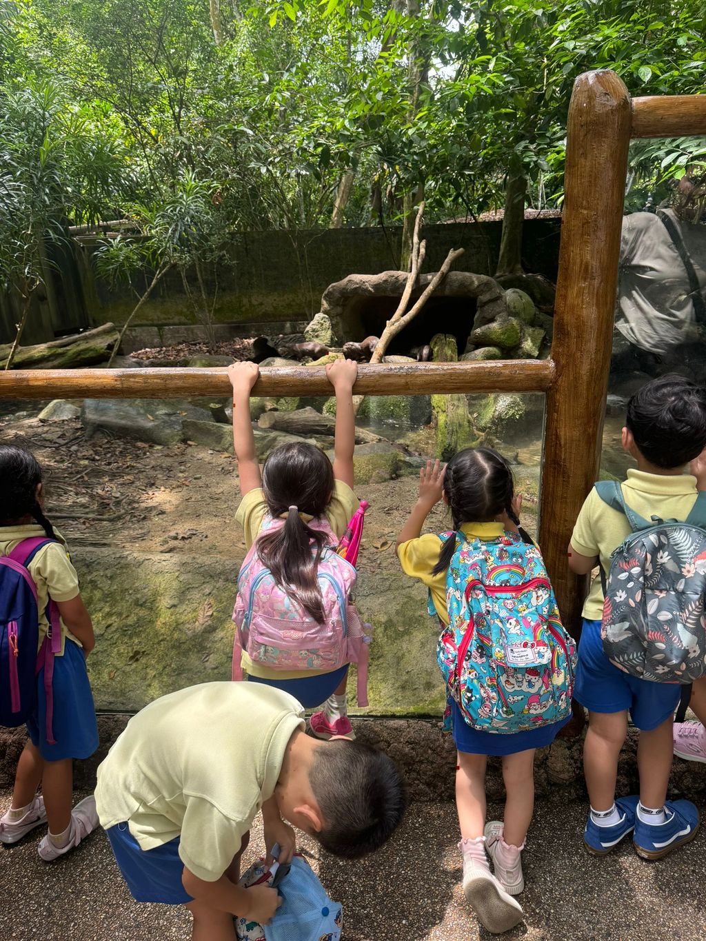 Learning Journey to the Zoo — photo 7