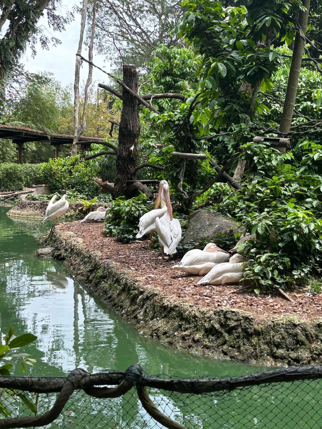 Learning Journey to the Zoo — photo 8