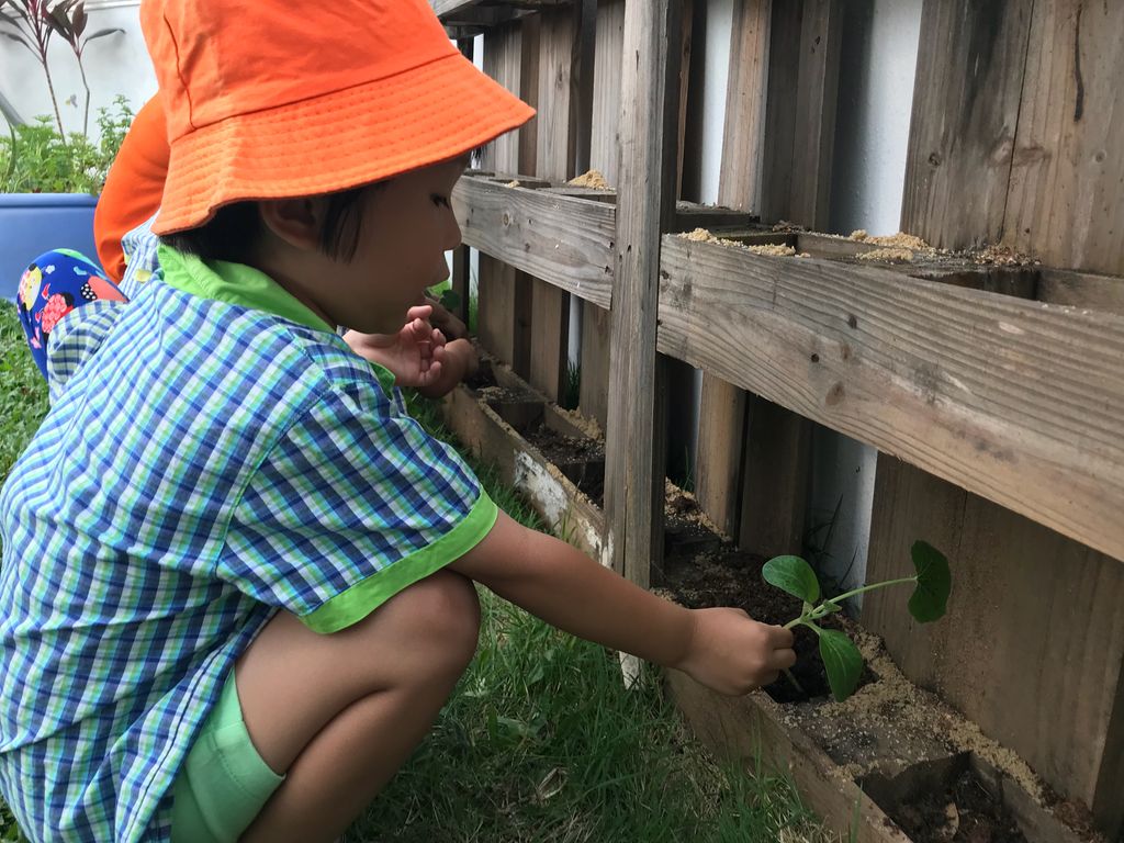 Superheroes Caring For The Environment: Virtual Launch — photo 1