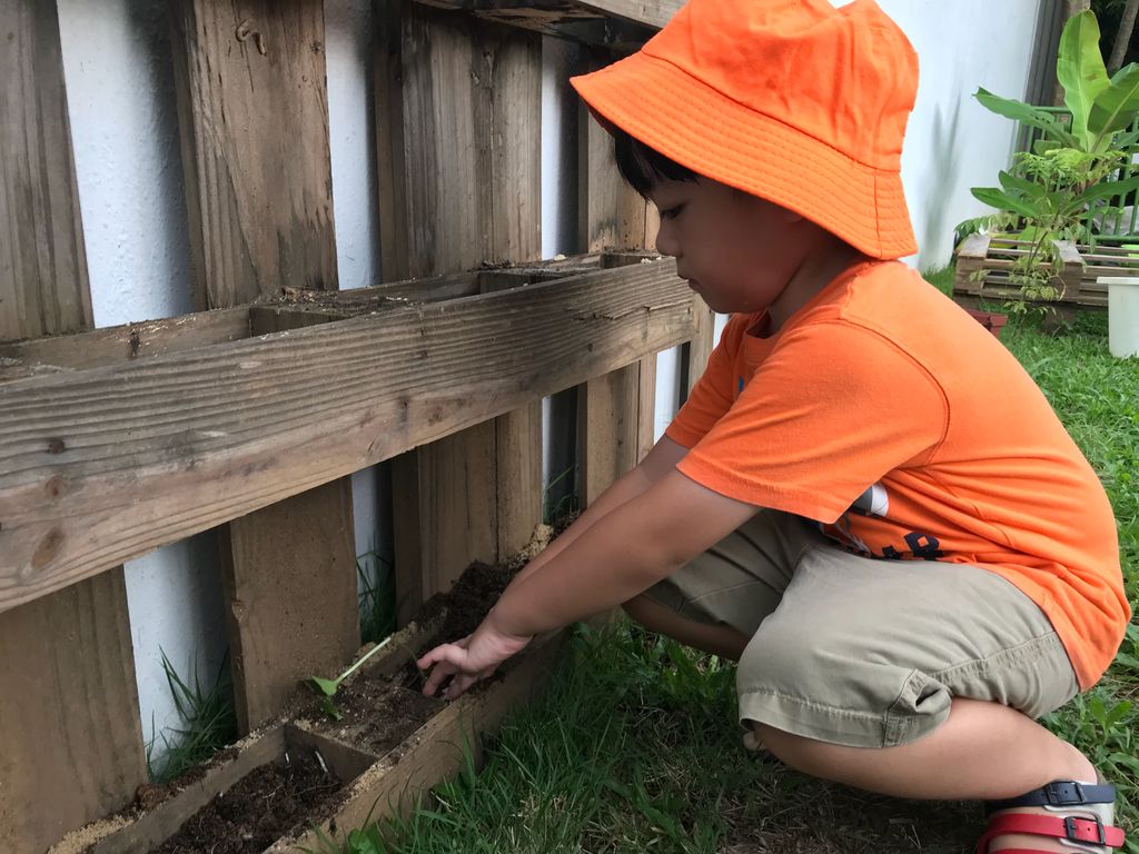 Superheroes Caring For The Environment: Virtual Launch — photo 2