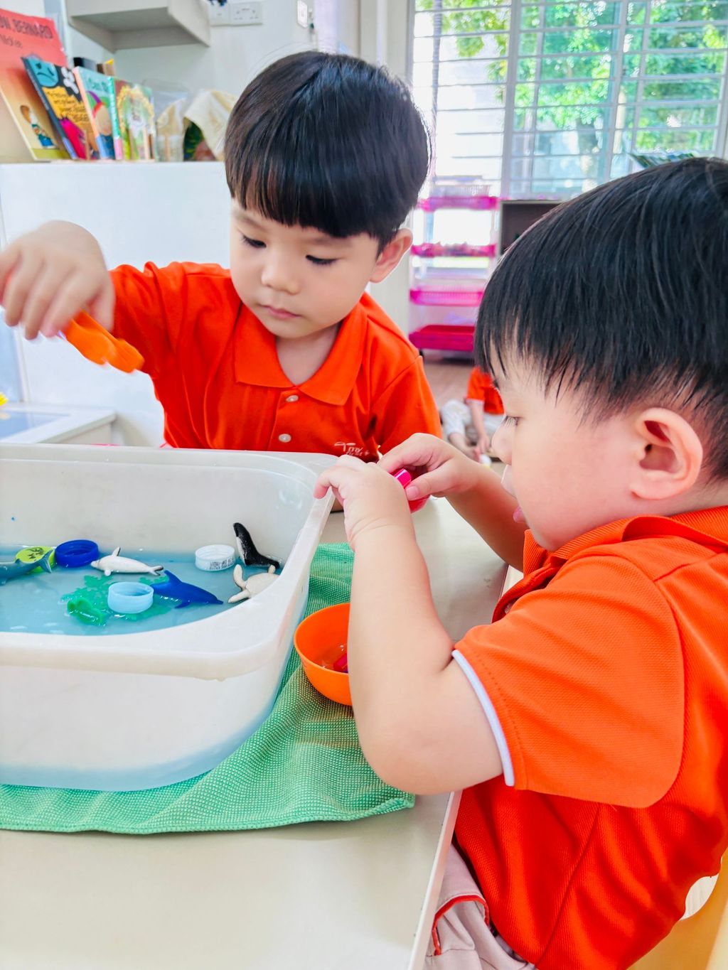 My First Skool - Blk 648C, Jurong West st 61 — photo 2