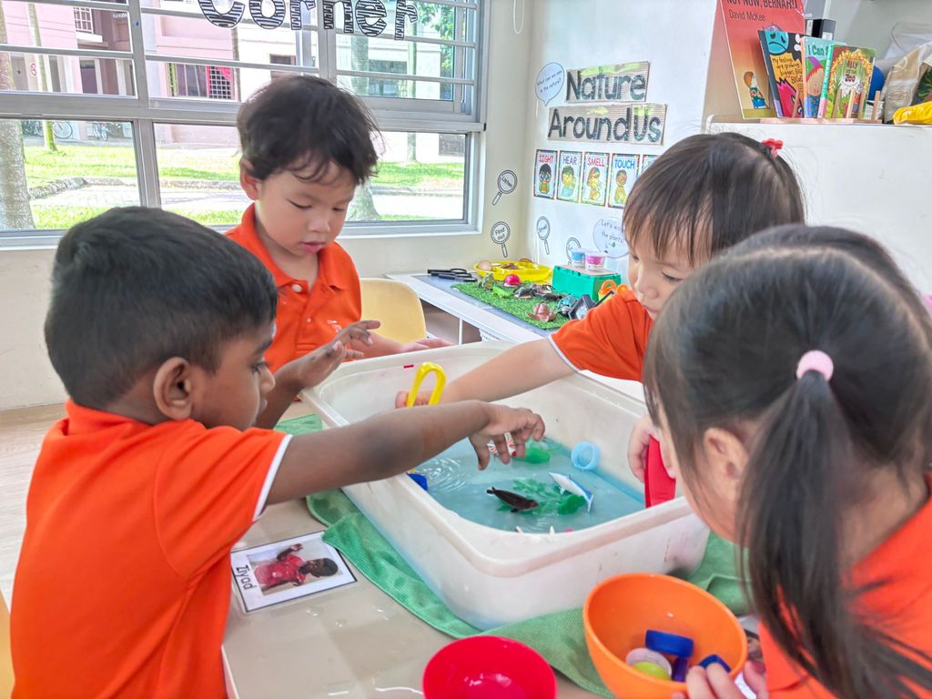 My First Skool - Blk 648C, Jurong West st 61 — photo 7