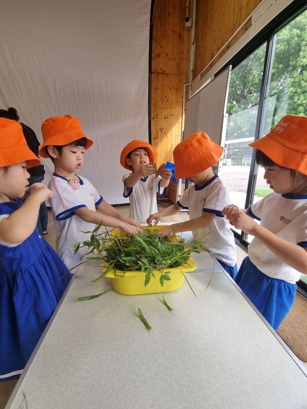 Little Footprints @ Serangoon Central's SSDB 2024: Go Green with Me! π β photo 3