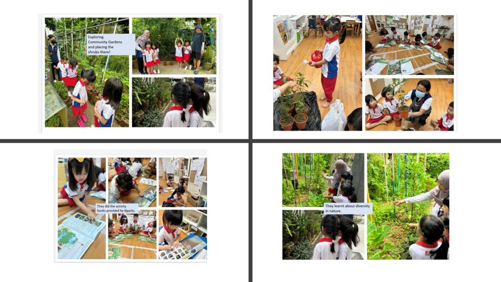 Biodiversity Week-collaboration with NParks!