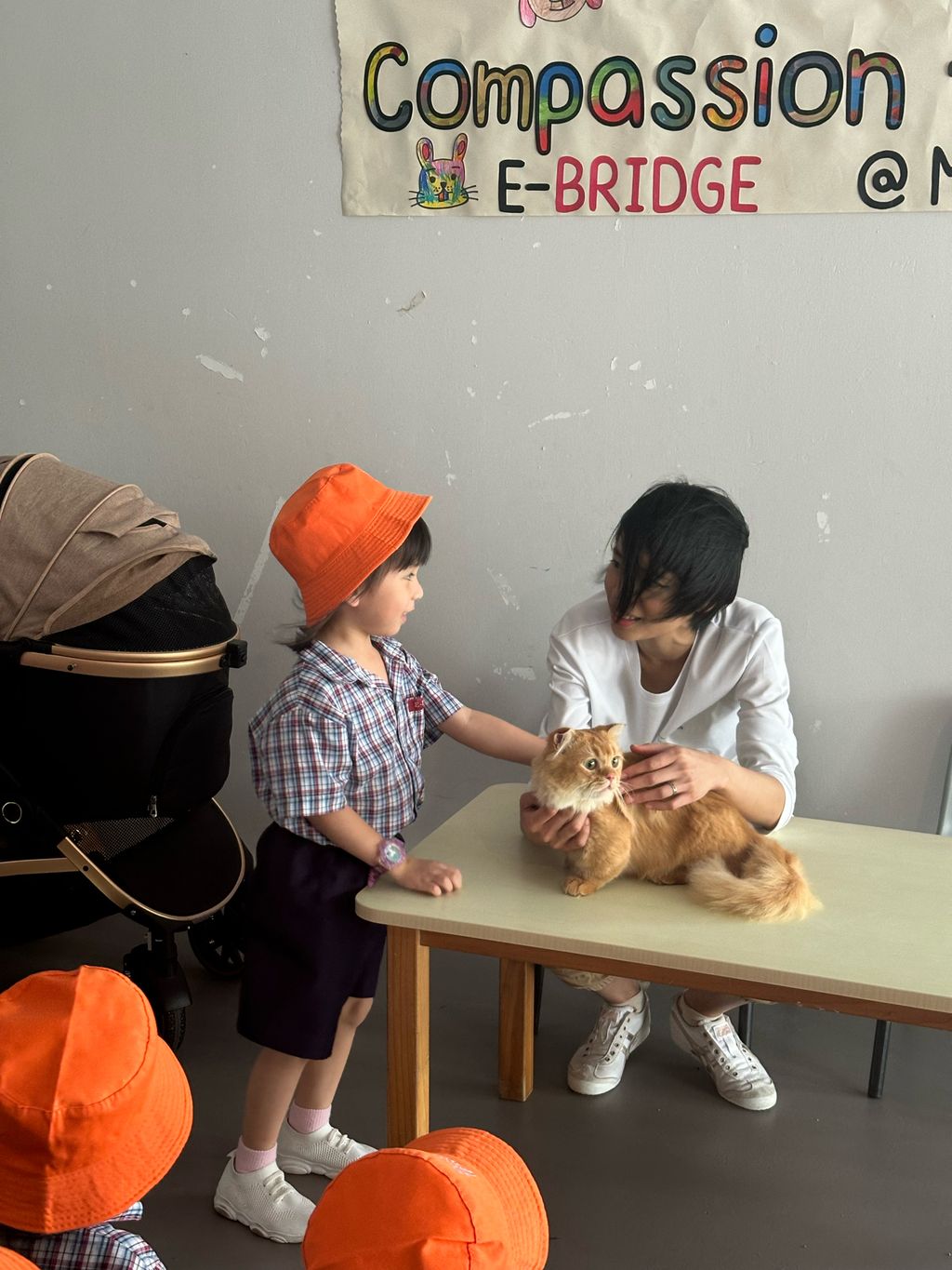 Our Hands-On Experience with Angel Paws furry friends, Noel and Noah! — photo 2