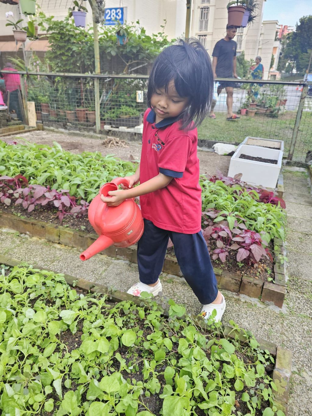 Growing our Plants Together!