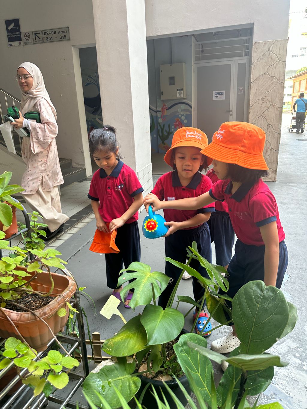 Growing our Plants Together! — photo 3