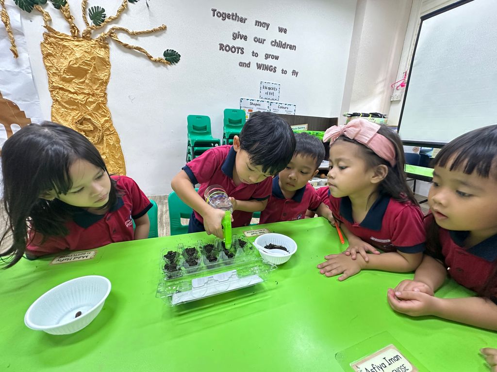 Growing our Plants Together! — photo 4